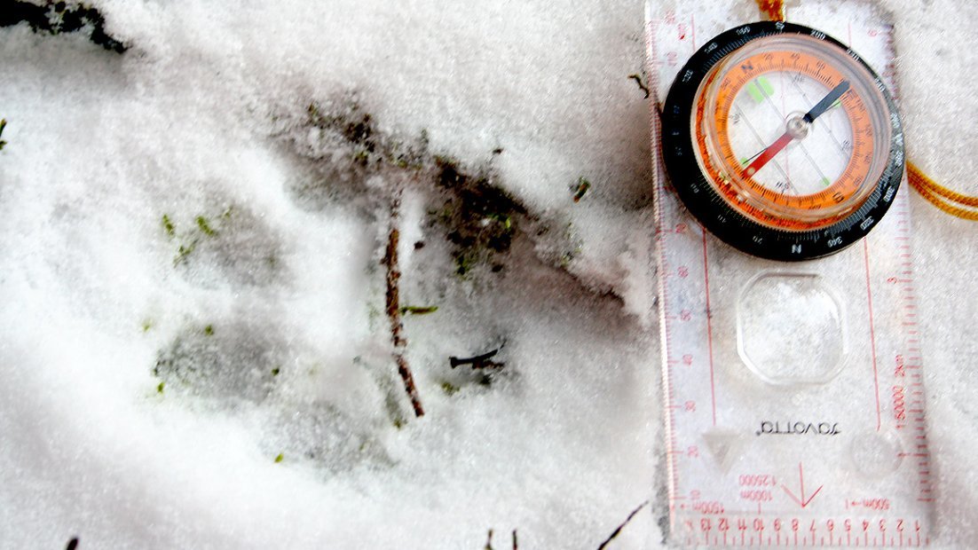 Four-toe lynx footprint in the snow. Next to a compass.