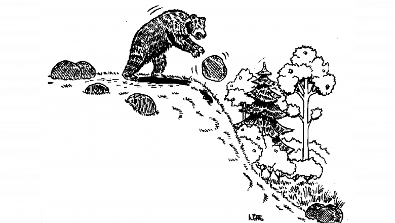 A black and white drawing of a bear throwing a rock down the slope of a hill. The background has trees at the bottom of the hill.
