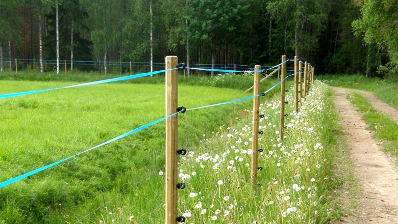 A hayfield surrounded by a tall fence made of wooden posts and electrical wires and ribbons. To the right of the hayfield, a grassy gravel road.